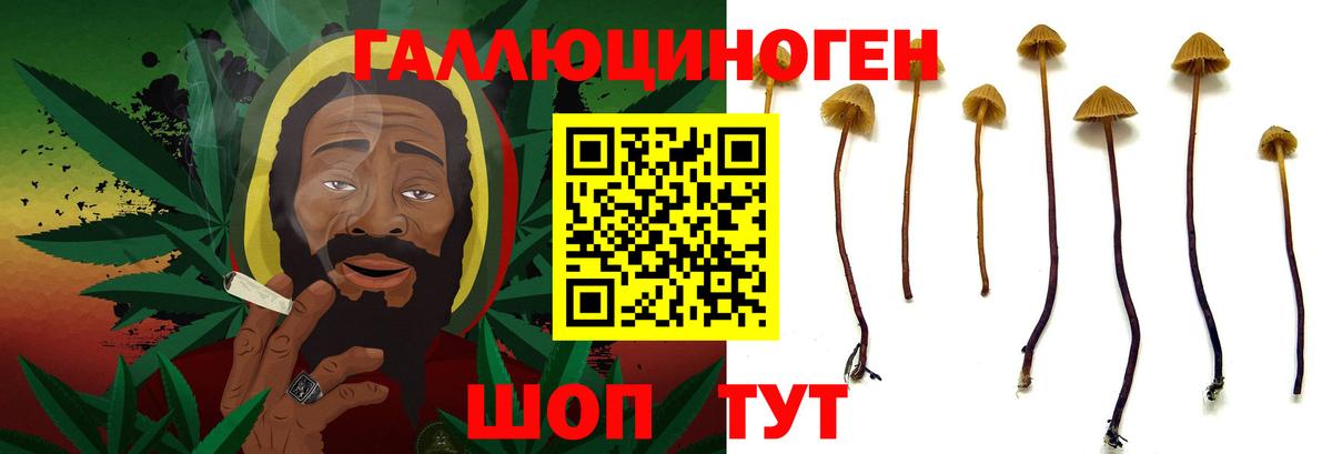 Ангарск  Галлюциногенные грибы ЛСД  где купить наркоту  Вход с VPN 